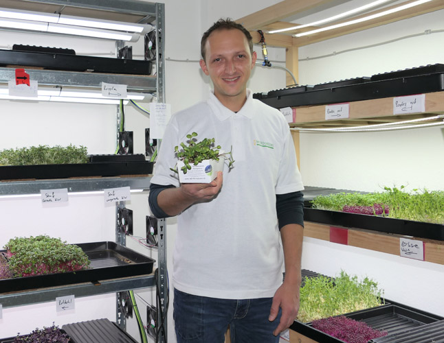 Alb Microgreens