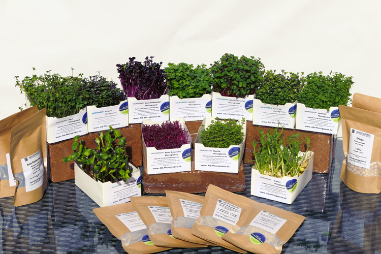 Alb Microgreens