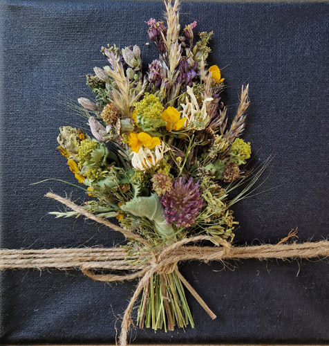 Pusteblume - Blumen und Pflanzen