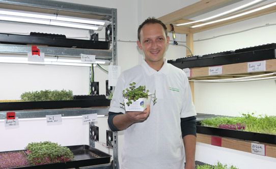 Fabian Rehkugler - Alb-Microgreens